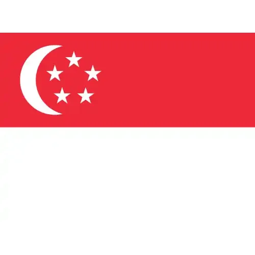 Singapore Flag